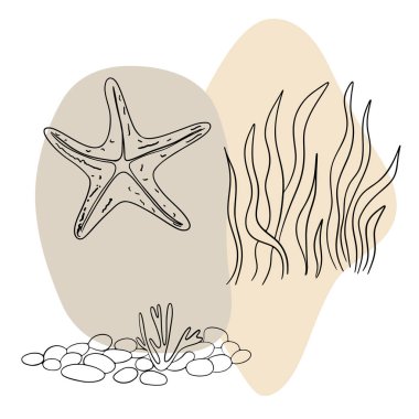 Deniz kabuğu deniz hattı sanat simgeleri, okyanus ve deniz plajı deniz kabukları mercan deniz kabukları su altı çizgileri