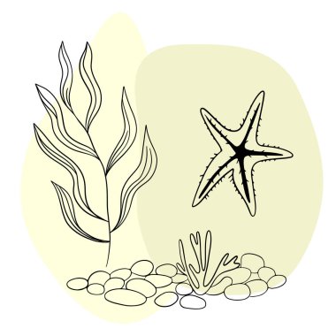 Deniz kabuğu deniz hattı sanat simgeleri, okyanus ve deniz plajı deniz kabukları mercan deniz kabukları su altı çizgileri