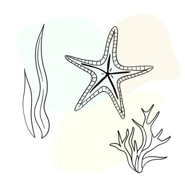 Deniz kabuğu deniz hattı sanat simgeleri, okyanus ve deniz plajı deniz kabukları mercan deniz kabukları su altı çizgileri