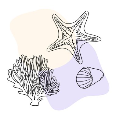 Deniz kabuğu deniz hattı sanat simgeleri, okyanus ve deniz plajı deniz kabukları mercan deniz kabukları su altı çizgileri