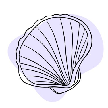 Deniz kabuğu deniz hattı sanat simgeleri, okyanus ve deniz plajı deniz kabukları mercan deniz kabukları su altı çizgileri