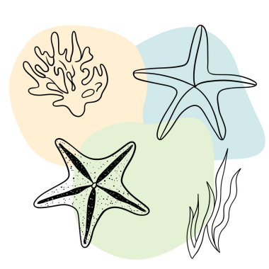 Deniz kabuğu deniz hattı sanat simgeleri, okyanus ve deniz plajı deniz kabukları mercan deniz kabukları su altı çizgileri