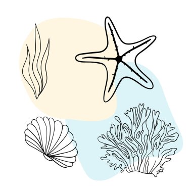 Deniz kabuğu deniz hattı sanat simgeleri, okyanus ve deniz plajı deniz kabukları mercan deniz kabukları su altı çizgileri
