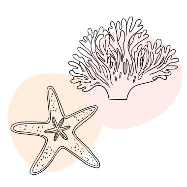 Deniz kabuğu deniz hattı sanat simgeleri, okyanus ve deniz plajı deniz kabukları mercan deniz kabukları su altı çizgileri