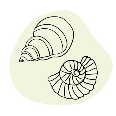 Deniz kabuğu deniz hattı sanat simgeleri, okyanus ve deniz plajı deniz kabukları mercan deniz kabukları su altı çizgileri