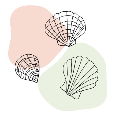 Deniz kabuğu deniz hattı sanat simgeleri, okyanus ve deniz plajı deniz kabukları mercan deniz kabukları su altı çizgileri