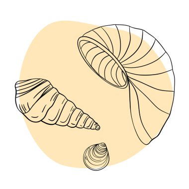 Deniz kabuğu deniz hattı sanat simgeleri, okyanus ve deniz plajı deniz kabukları mercan deniz kabukları su altı çizgileri