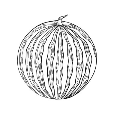 El çizimi karpuz karpuz çizgisi