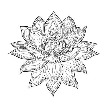 Lotus siyah çizgiler. Meditasyonun, yoganın ve rahatlamanın doğal çiçek belirtileri. Ahenk ve sükunet dengesi