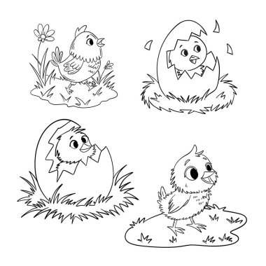 Elle çizilmiş Paskalya illüstrasyonunda yumurtadan çıkan tatlı bir civciv görülüyor. Neşeli bahar sanat eserleri Paskalya için ideal