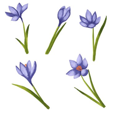 Yumuşak doğal tonlarda narin bahar çiçeklerinin yer aldığı el boyası suluboya çiçek çizimi. Geleneksel suluboya stilinde yaratılmış sanatsal çiçek kompozisyonu