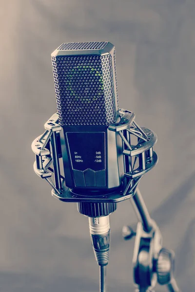Professional studio microphone on stand