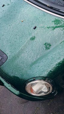 Yakın zamanda duş aldıktan sonra yağmur damlacıklarıyla kaplı eski yeşil bir arabanın kaputuna yakın plan. Islak yüzey doğal ışığı yansıtır ve klasik yuvarlak far kısmen görülebilir. Doku ve renk nostaljik ve dengesiz bir atmosfer yaratır..