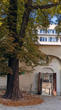 Beyaz bir sıva duvarına kurulmuş kemerli bir kapının önünde altın sonbahar yaprakları olan uzun ağaç. Arka planda geniş pencereli modern bir bina açık kapıdan görülebilir. Polonya 'da çekildi.