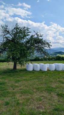 Arkasında dağlar olan bir ağacın altında beyaz plastiğe sarılı saman balyalarıyla kırsal bir yaz tarlası. Kopya alanı ile kırsal tarım manzarası, doğa ve yaşam tarzı kavramı.