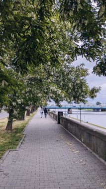 Arka planda çiçek açan ağaçlar, asfalt kaldırım ve köprü olan nehir kenarı manzaralı bir gezinti. Huzurlu şehir doğası, boş yürüyüş alanı, yaşam tarzı ve seyahat kavramı.