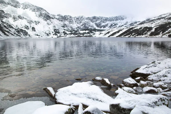 Valley Fem Sjöar National Tatras Park Polen Vacker Vintertid Allt — Stockfoto