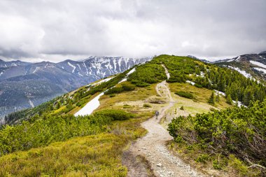 Dağlarda yürüyüş, yaz vahşi doğası. Yaz tatilleri. 