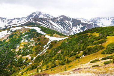 Yüksek dağlarda, aktif yaz turizmi, güzel vahşi doğa. Yazın üstleri karla kaplı.. 
