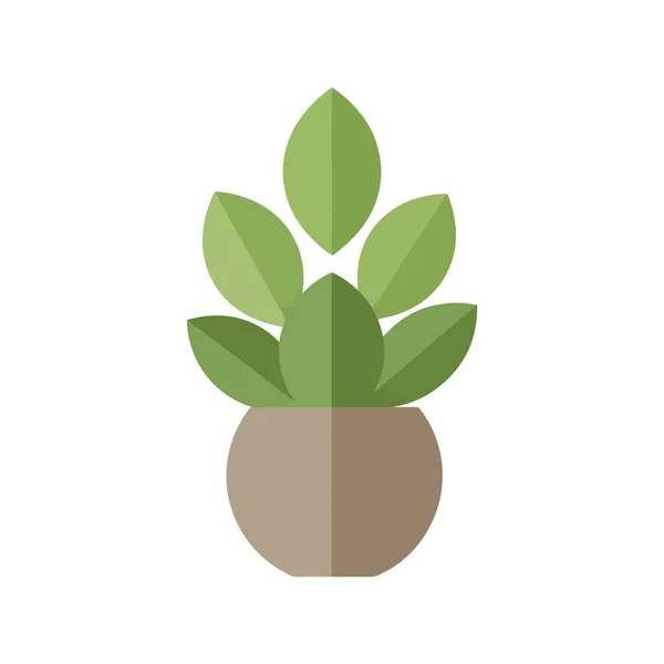 Modern iç dekorasyon projeniz için büyüleyici saksı düz tasarımı tasarım tasarımınıza biraz doğa katar