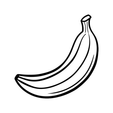 Bir muzun ana hatlarıyla izole edilmiş bir vektör çizimi eğri şekilli ve kendine özgü sapı olan tek bir olgun muz görüntüsü, yiyecekle ilgili eğitici materyal tasarımları da dahil olmak üzere birçok amaç için temiz ve basittir.