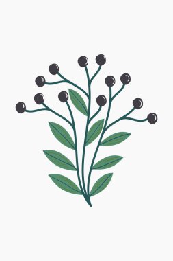 Temiz ve modern bir botanik illüstrasyonunda stilize edilmiş yapraklar ve böğürtlenlerden oluşan bir filiz düz renkli ve basit bir tasarımı olan minimalist bir estetiğe sahiptir.