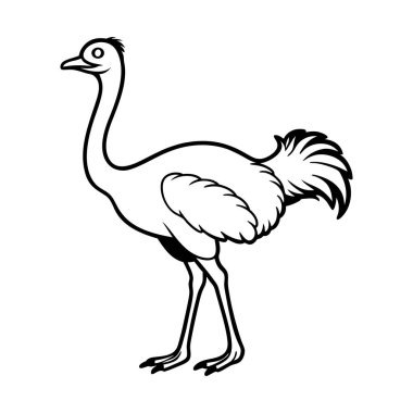 Büyüleyici bir siyah-beyaz karikatür resimlerinde ayakta duran bir devekuşu tasvir edilir. Devekuşu, renkli sayfalar ya da eğitici malzemeler için uygun çizgilerle tasvir edilir. Uzun boyun dolgun vücudu ve tüylü kuyruğu vurgulanır.