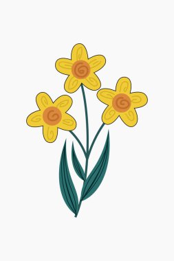 Bu, koyu yeşil saplı ve beyaz arka planda yaprakları olan üç sarı çiçeğin sergilendiği enfes bir illüstrasyon. Çiçekler, açık kahverengi spiral merkezli ayırt edici beş yaprak dizaynına sahiptir. Çiçekler, bir sanatçıyla tasvir edilir.