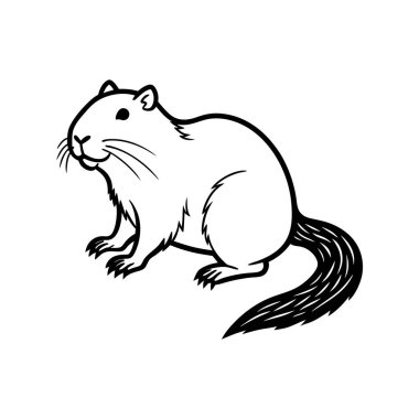 Bu sevimli vektör sincap çizimi çocuk kitapları veya eğitici materyaller için mükemmeldir. Beyaz bir arkaplan, eğlenceli tasarımı ve büyüleyici detayları onu öğrenme ya da hikaye anlatma projelerine çekici bir ek kılar..