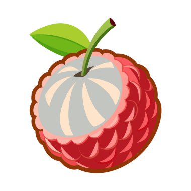 Canlı ve detaylı bir illüstrasyonda, temiz beyaz bir zemin karşısında tek bir liçi meyvesi sergilenir. Liçi, desenli bir yüzeye sahip, belirgin bir kırmızımsı pembe dış kabuğa sahiptir ve meyvelerin transluk görünmesi için kabuğun bir kısmı alınır.