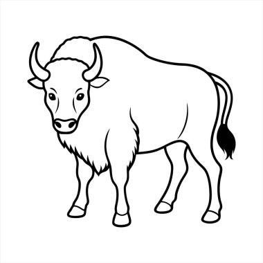 Bu, beyaz bir arkaplan karşısında gururla duran bizonun cesur ve temiz bir tasviri. Grafik görüntüsü, eğitime uygun olduğu açık bir şekilde özgün kamburu ve kalın kürkü olan hayvanın basit ama güçlü bir tasviri.