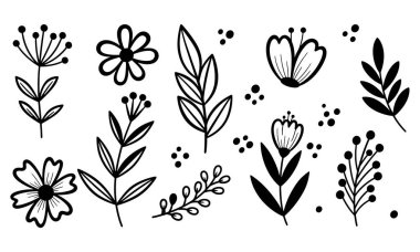 Siyah ve beyaz renkli bir botanik çizim koleksiyonu büyüleyici ve çok yönlü tasarım elementleri sunar. Set, her biri basit bir karalama tarzında yapılmış çeşitli çiçek yaprakları ve dallardan oluşur.