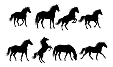 Bu resim sekiz eşsiz at siluetinden oluşan bir koleksiyon içeriyor. Her siluet farklı bir pozu ve hareketi yakalıyor. Bu hareketin çeşitli safhalarında atı gösteriyor. 