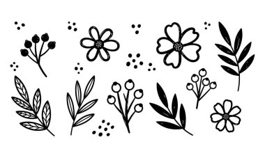 Bu, çeşitli yaratıcı projeler için mükemmel bir dizi botanik elementi içeren büyüleyici bir el çizimi. Tasarım, yuvarlak yapraklı narin çiçekler ve dolgun böğürtlen dallarının yanında ayrıntılı merkezler de içeriyor.