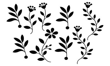 Bu illüstrasyon, vektör formatındaki zarif botanik elementlerin bir koleksiyonunu içerir. Tasarım, temiz beyaz bir arkaplana karşı parlak siyah bir siluete dönüştürülmüş çeşitli narin çiçek yaprakları ve dalları içerir.