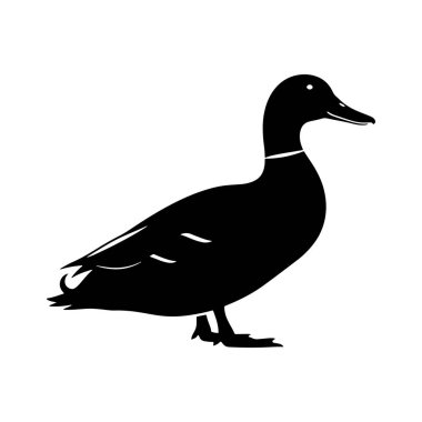 Bir ördeğin çarpıcı bir silueti temiz beyaz bir arkaplana karşı sunulduğunda, resim su kuşunun basit ama zarif şeklini yakalar ve onu çeşitli tasarım uygulamaları için ideal bir seçim haline getirir. 