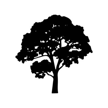 Bu çarpıcı görüntü, el değmemiş beyaz bir zemin üzerine kurulmuş olgun bir ağacın ayrıntılı bir siluetini gösteriyor. Katıksız zıtlık, ağaçların dalları ve yapraklarının karmaşık detaylarını vurguluyor. Ağaçlar yuvarlak taç, olgunluğu ve dayanıklılığı gösteriyor.