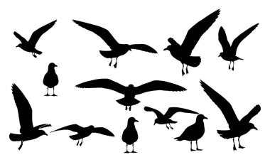 Bu grafik, kuşların çeşitli pozlarda yer aldığı siluet görüntülerin bir derlemesini gösteriyor. Bazıları geniş bir alana yayılmış orta kanatlarla gösterilmiş ve havadaki canlıların dinamizmini ve zarafetini yansıtıyor. Diğerleri ise ayakta duruyor. 