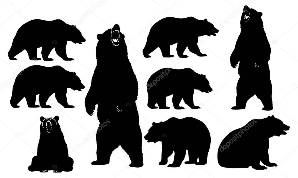 This illustration showcases a collection of bear silhouettes presented on a clean white background The image features various poses of bears including standing walking and sitting providing a diverse range of representations The use of silhouettes em