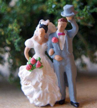  Doğadaki bir çiftin fotoğrafı.