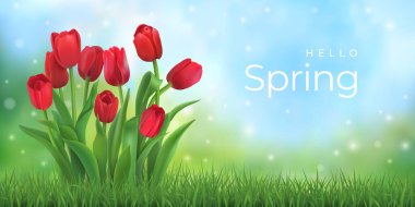 Merhaba bahar. Kırmızı laleler ve çimenler.