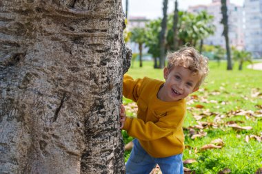 Güneşli park oyunu sırasında ağaç gövdesinin arkasına saklanan gülümseyen anaokulu çocuğu saf çocukluk mutluluğu ve neşeli enerji saçıyor.