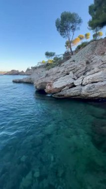 İspanya 'nın Mallorca kentindeki Akdeniz' in kristal berrak turkuaz sularına bakan çam ağaçlarıyla kayalık kıyıları