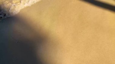 El değmemiş kıyı şeridini aydınlatan altın güneş ışığı, Mallorca 'nın kristal berrak suları sakin Akdeniz manzarası sekansında canlı kumlu kıyıları hafifçe okşuyor.