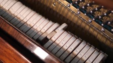 Piyano çekiçlerinin tellere vuruşları yavaş çekimde, piyanonun karmaşık mekaniğini gösteriyor.