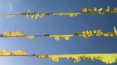 Bulutsuz, masmavi bir gökyüzünün altında rüzgarda dans eden parlak sarı kağıt şeritler. Her özel olaya bir neşe katmak için mükemmel.