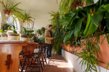 Bahçecilik ve sürdürülebilir ev yaşamına odaklanan, parlak, güneşli bir bahçe alanında çeşitli yeşil bitkilerle ilgilenen bir adam.