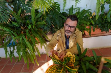 Bahçesiyle ilgilenen bir adam, verandasında yemyeşil ve yemyeşil bir çimenliğin ortasında bir croton bitkisinin renkli yapraklarını nazikçe inceliyor.