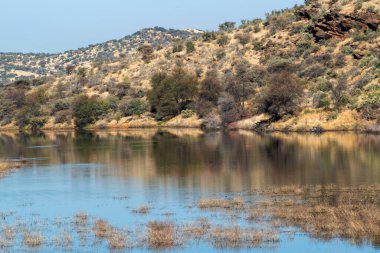 Kurak mevsimde orta Namibya 'nın çorak arazisi. Namibya, Güney Afrika 'nın batı kıyısında bir ülkedir..