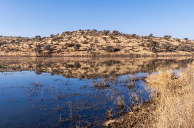 Kurak mevsimde orta Namibya 'nın çorak arazisi. Namibya, Güney Afrika 'nın batı kıyısında bir ülkedir..